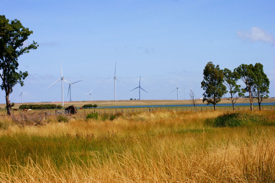 Cementos Avellaneda » Obras » Parque Eólico La Genoveva