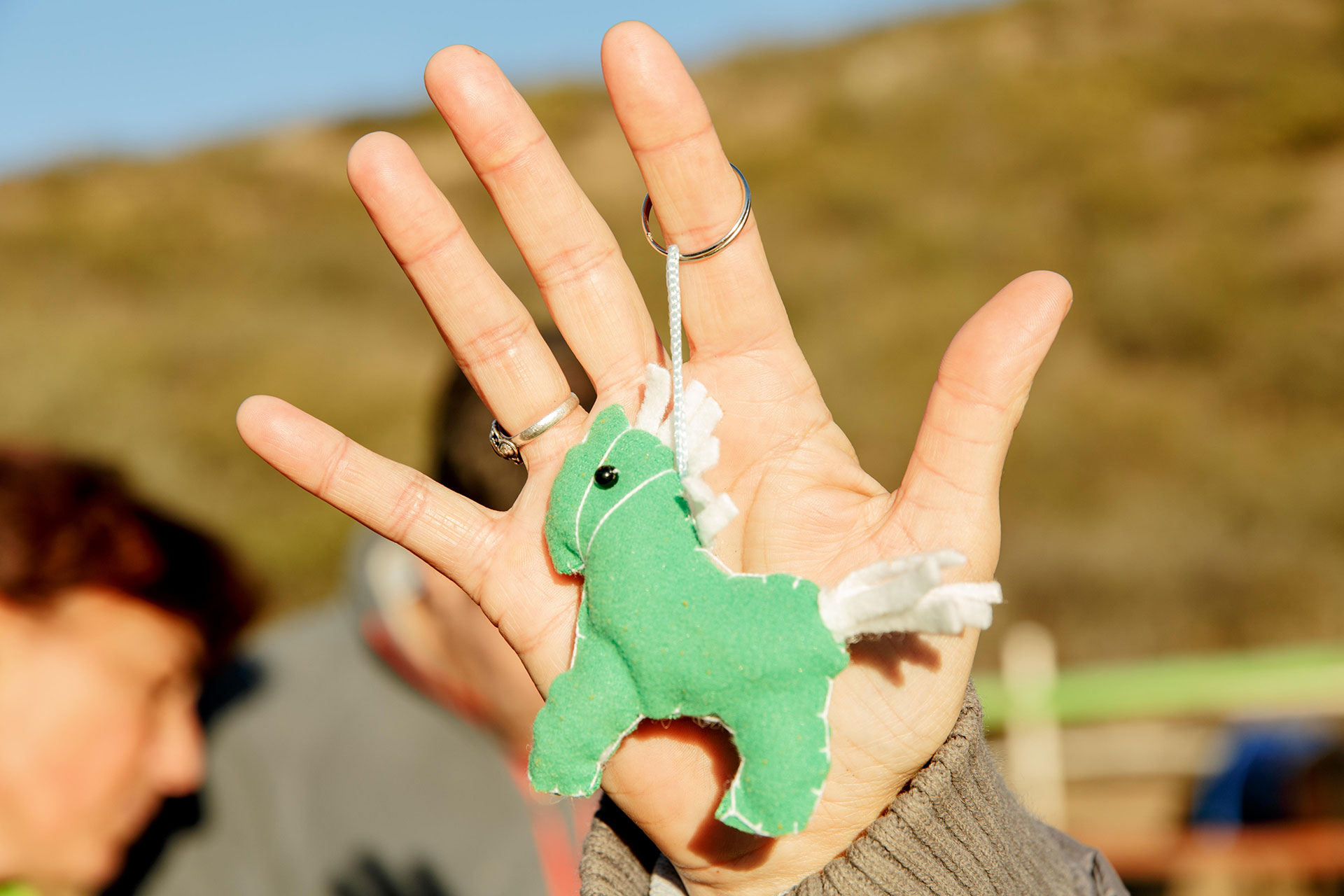 Cementos Avellaneda » Sostenibilidad » Proyectos » Equinoterapia