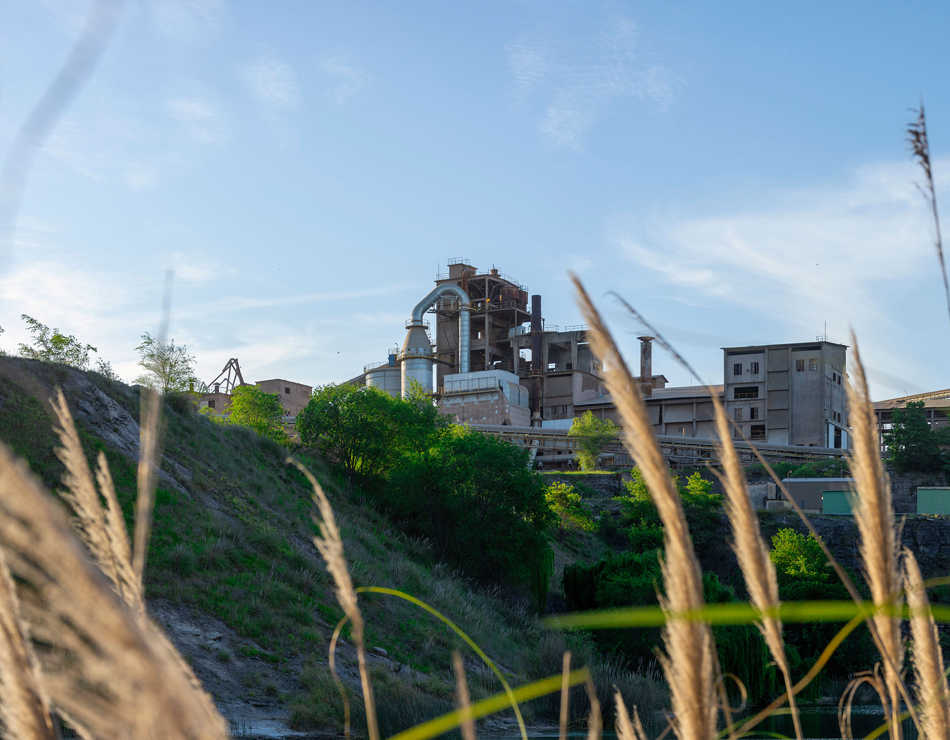Cementos Avellaneda » Sostenibilidad » Proyectos » Recuperación del ecosistema y preservación de la biodiversidad